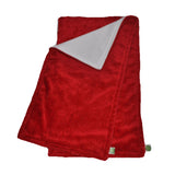 Red Paisley Minky Burp Cloth