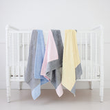 Pastel Minky Baby Blanket