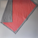 Gray Linen and Coral Minky