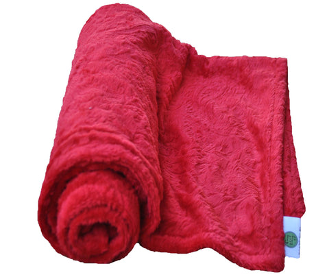 Paisley Minky Baby Blanket Red